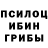 Псилоцибиновые грибы Cubensis Delkorn Tem