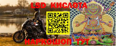 шишки Пенза