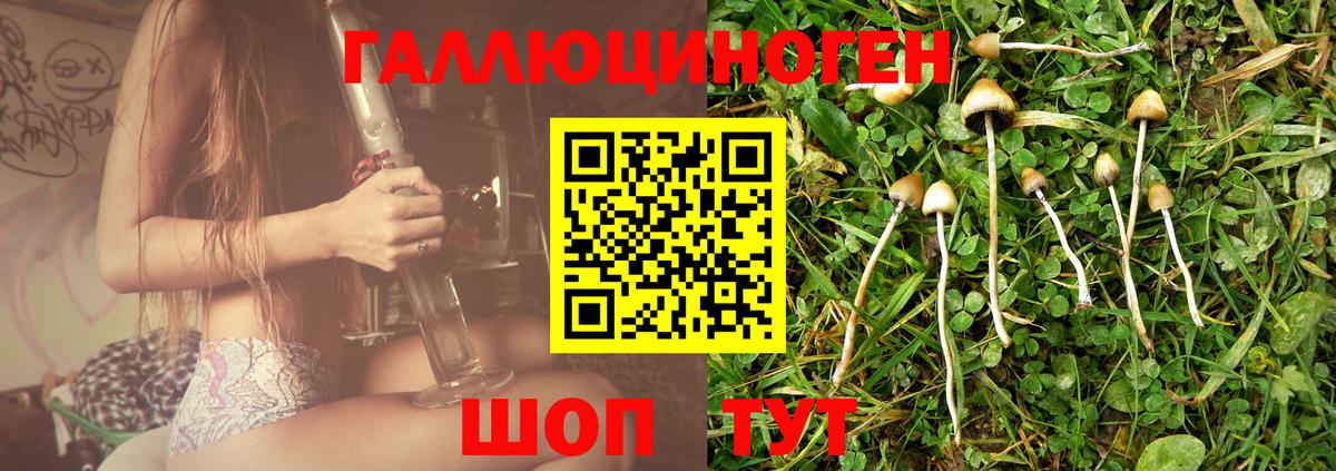 Ноябрьск  наркотики  Вход с VPN  Галлюциногенные грибы Psilocybe 