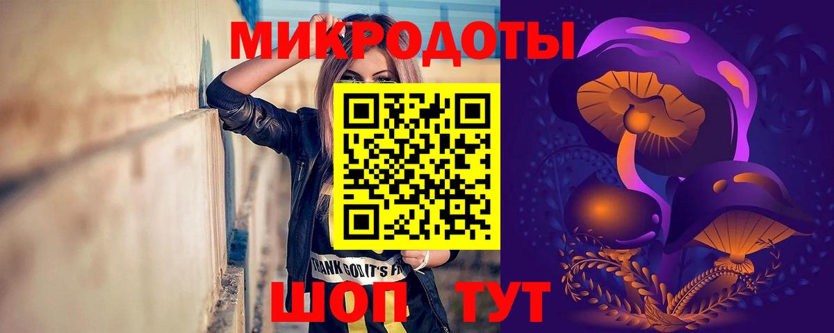 Псилоцибиновые грибы Psilocybe Ноябрьск